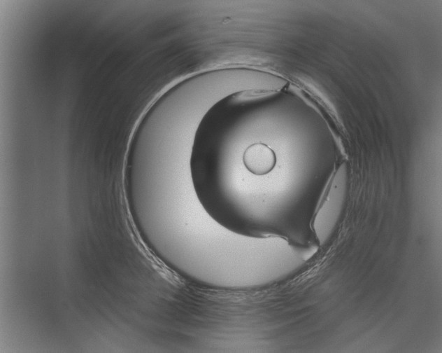 X0000071900948200608041339