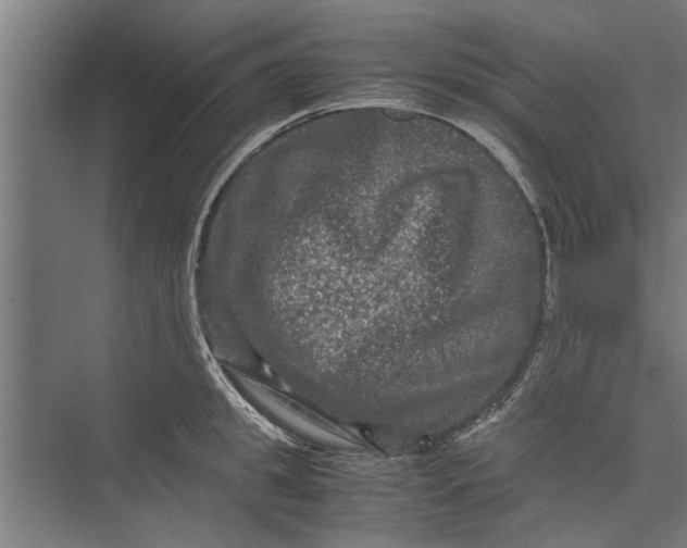 X0000071900949200608041339