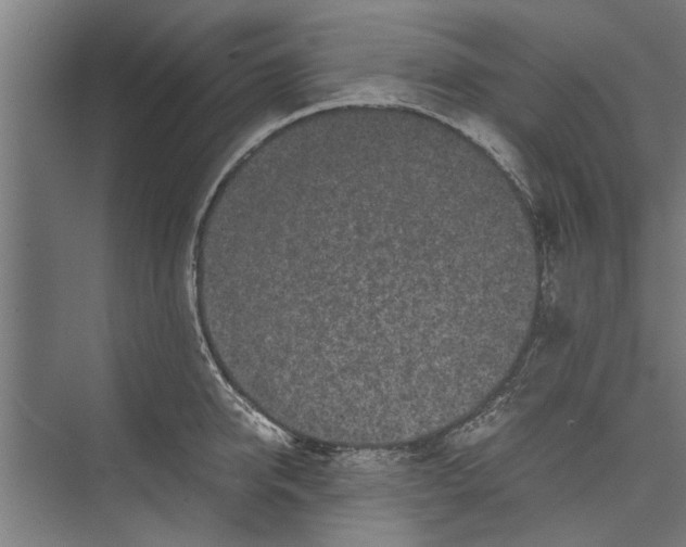 X0000071900950200608041339