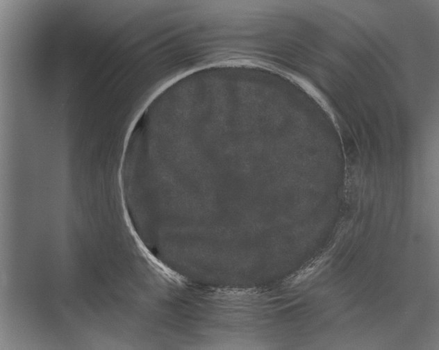 X0000071900951200608041339