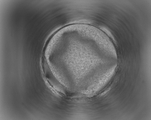 X0000071900952200608041339