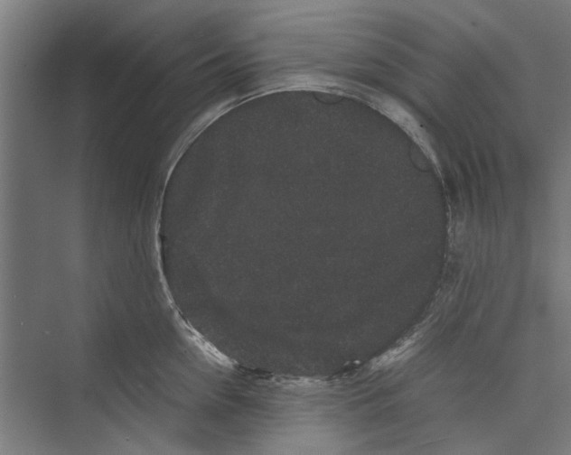 X0000071900954200608041339