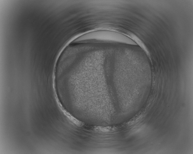 X0000071900955200608041339