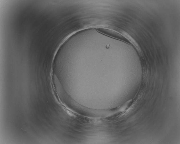 X0000071900956200608041339