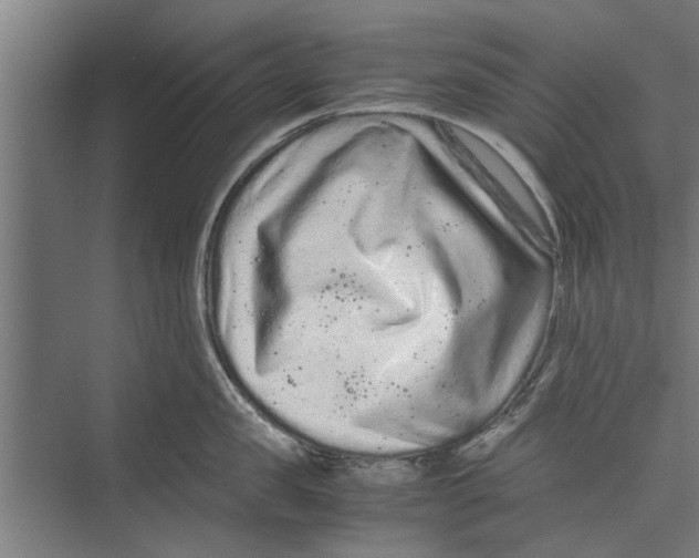 X0000071900957200608041339