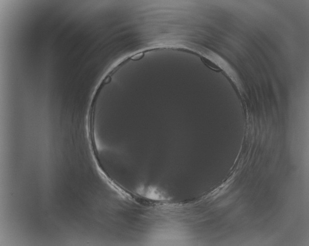 X0000071900958200608041339