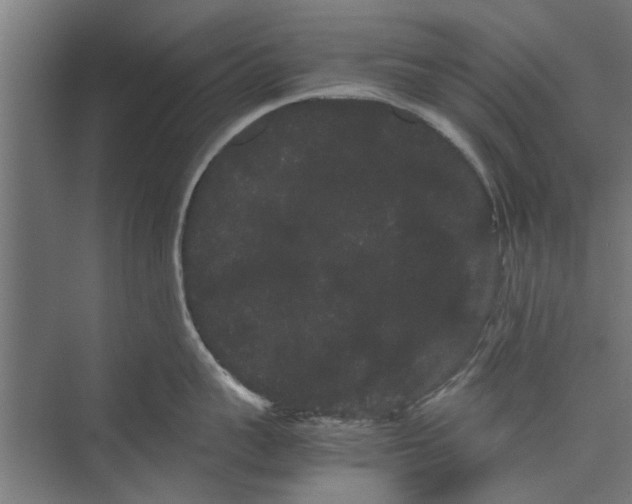 X0000071900959200608041339