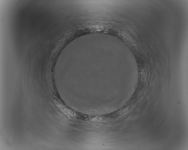 X0000071900961200608041339