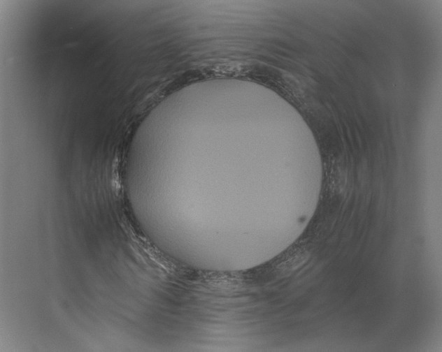 X0000071900962200608041339