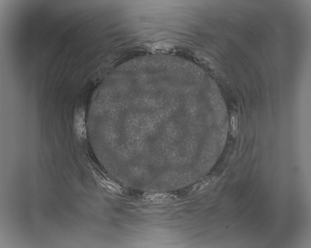 X0000071900963200608041339