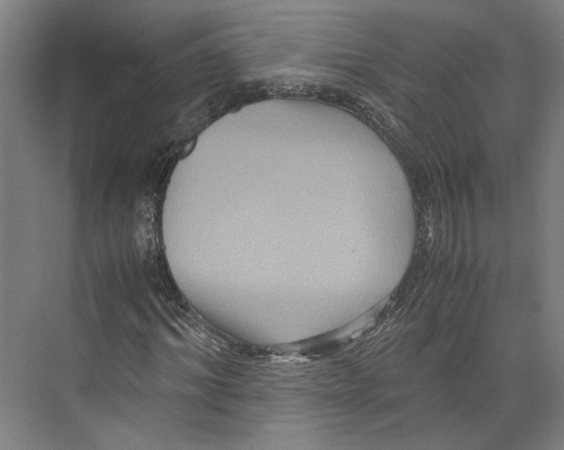 X0000071900964200608041339