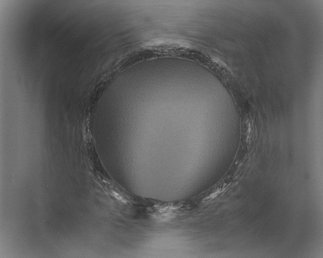 X0000071900965200608041339