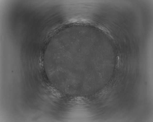 X0000071900966200608041339