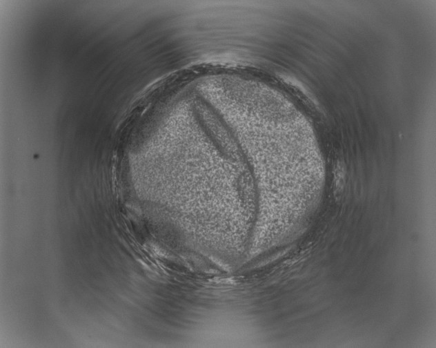 X0000071900968200608041338