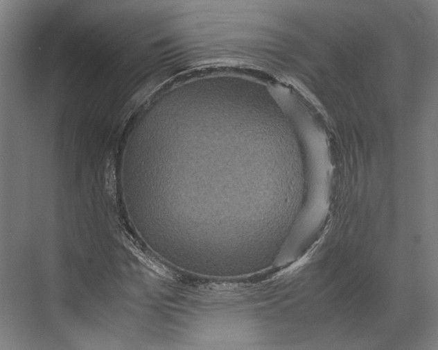 X0000071900969200608041338