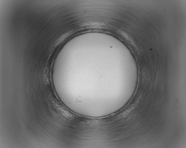 X0000071900970200608041338