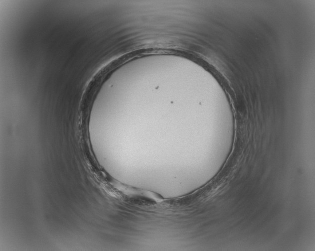 X0000071900971200608041338