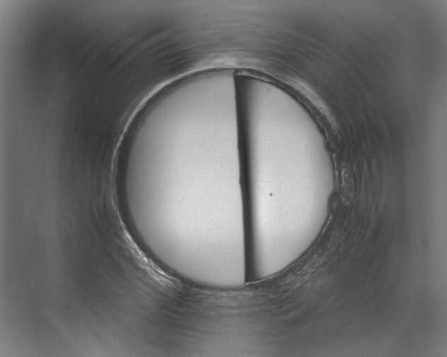 X0000071900972200608041338