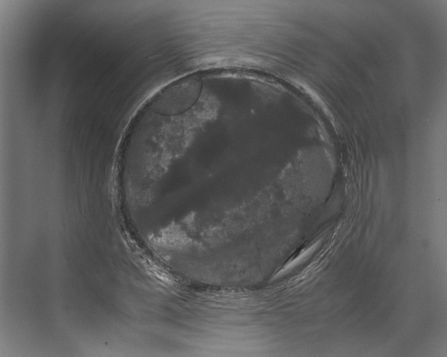 X0000071900975200608041338