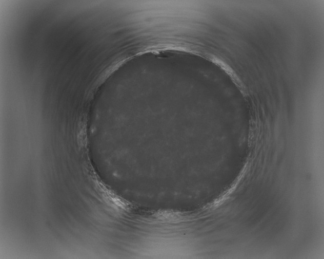 X0000071900977200608041338