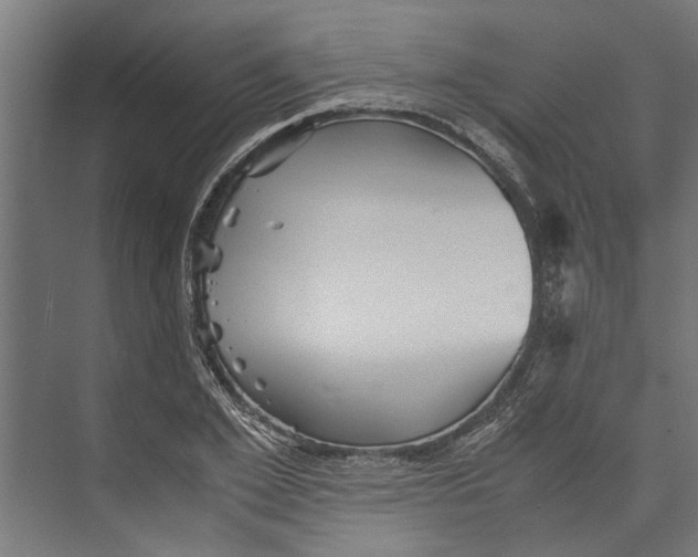 X0000071900981200608041338