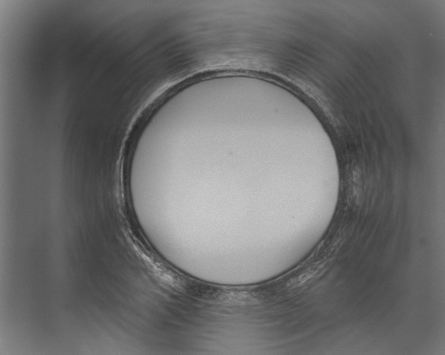 X0000071900982200608041338