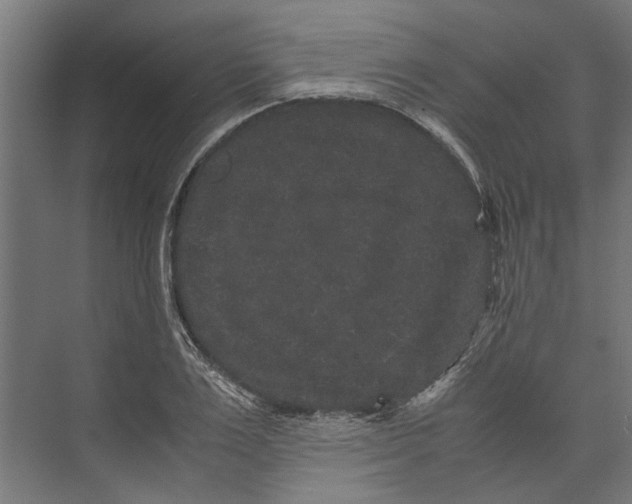 X0000071900983200608041338