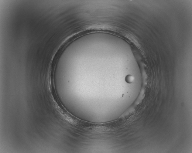 X0000071900984200608041338