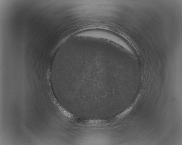 X0000071900985200608041338