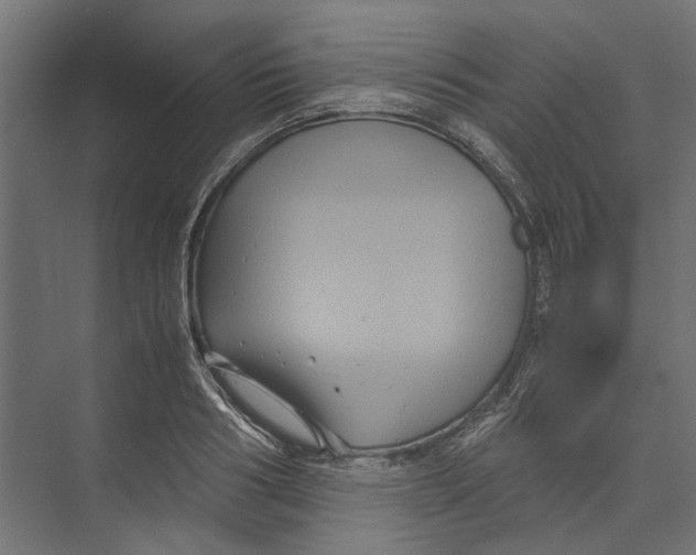 X0000071900986200608041338