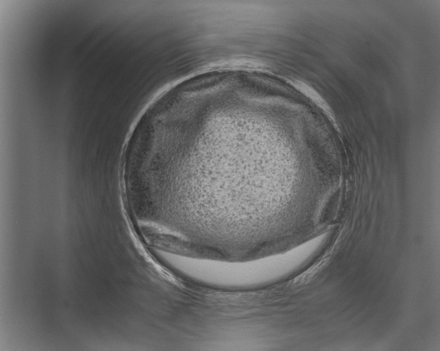 X0000071900989200608041338