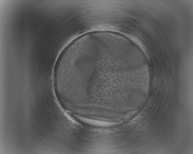 X0000071900990200608041338