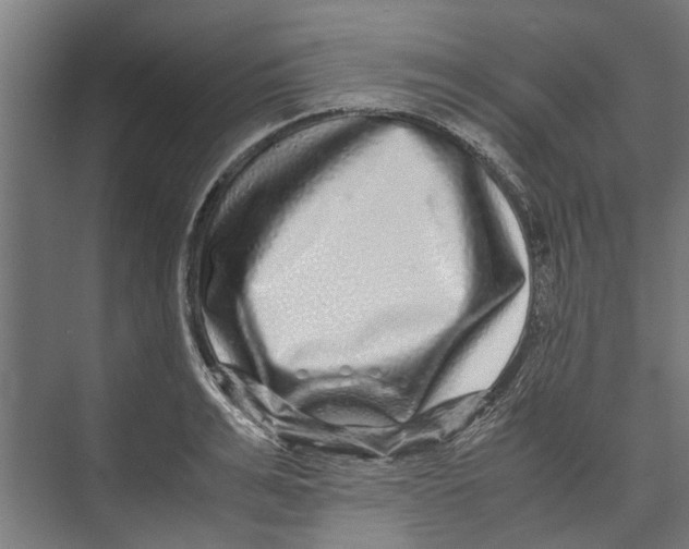 X0000071900991200608041338