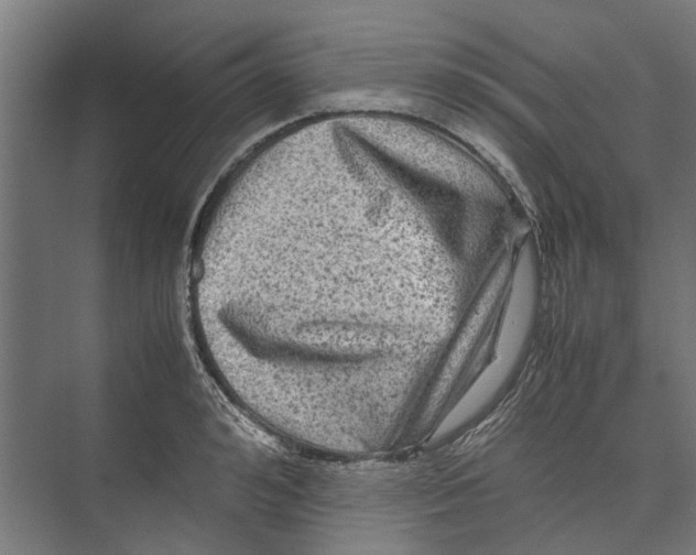 X0000071900992200608041338