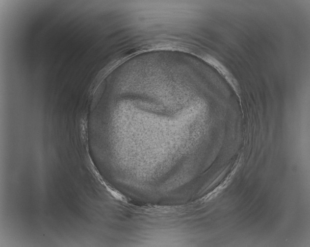 X0000071900993200608041338