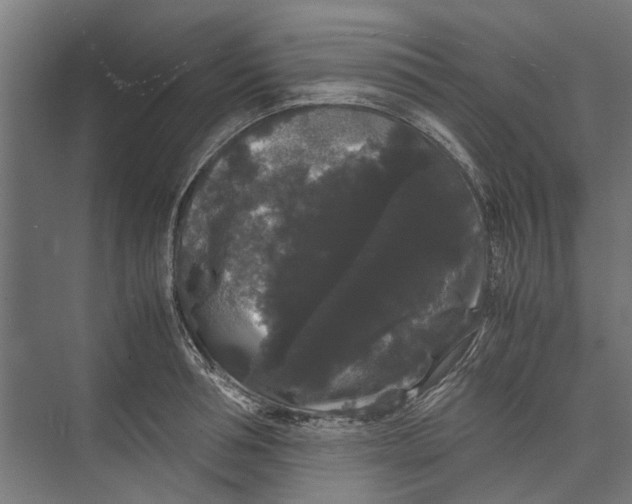 X0000071900994200608041338