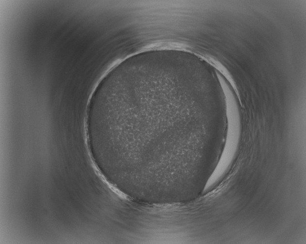 X0000071900997200608041338