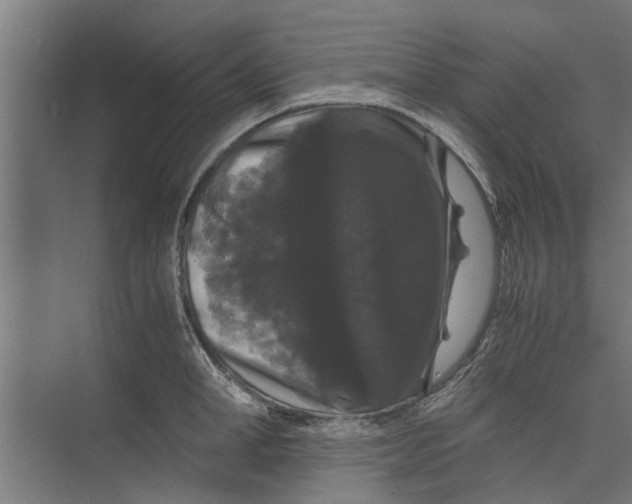 X0000071900998200608041338