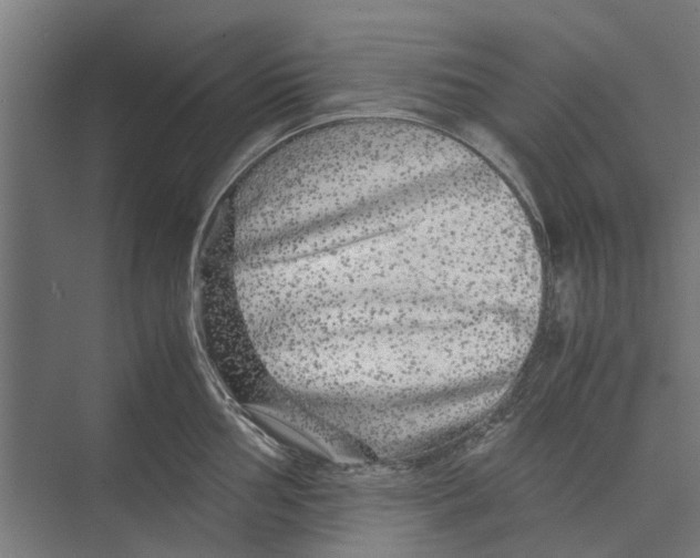 X0000071901002200608041338