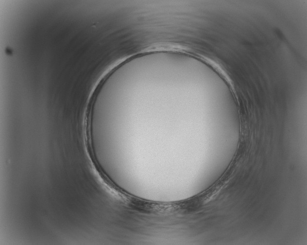 X0000071901003200608041338