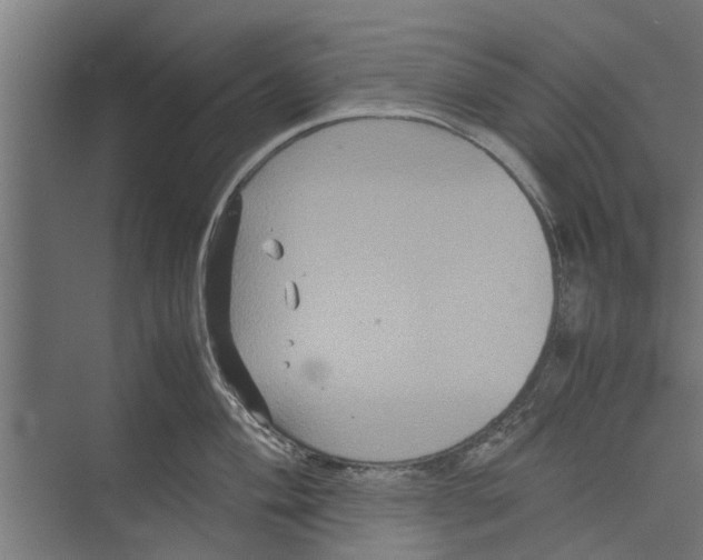 X0000071901004200608041338