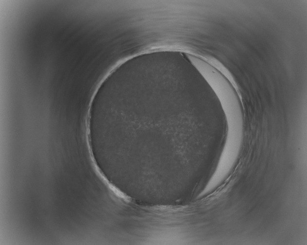 X0000071901005200608041338