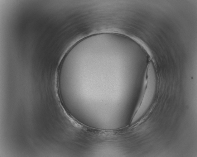 X0000071901006200608041338