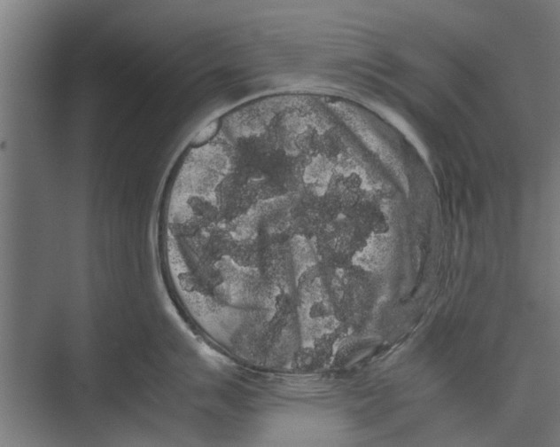 X0000071901007200608041338