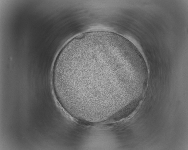 X0000071901008200608041338