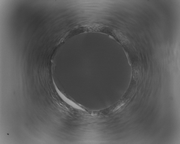 X0000071901010200608041337