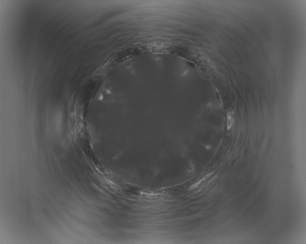 X0000071901011200608041337