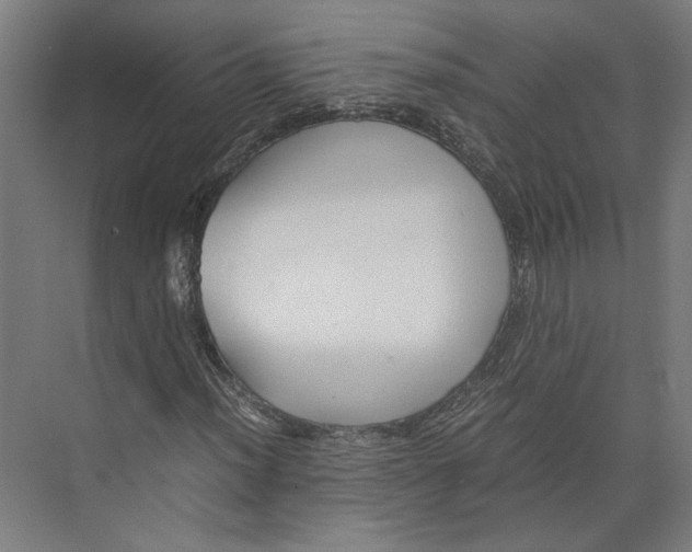 X0000071901012200608041337