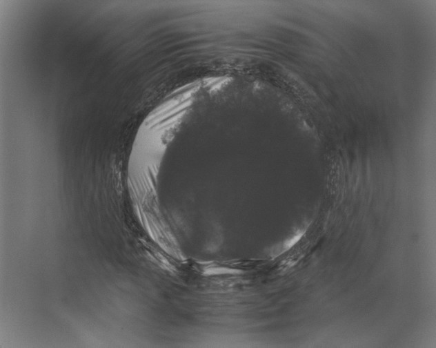 X0000071901013200608041337