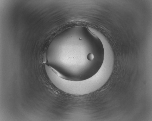 X0000071901014200608041337